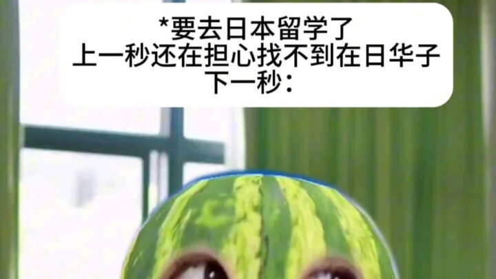 对上暗号了，同志们