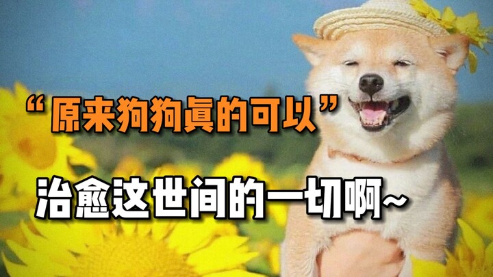“ฉันก็บอกแล้วว่าโลกนี้ขาดหมาไม่ได้ ที่แท้สัตว์อื่นก็ขาดหมาไม่ได้เหมือนกัน”