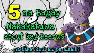 5 Funny Facts na hindi mo pa alam about Beerus