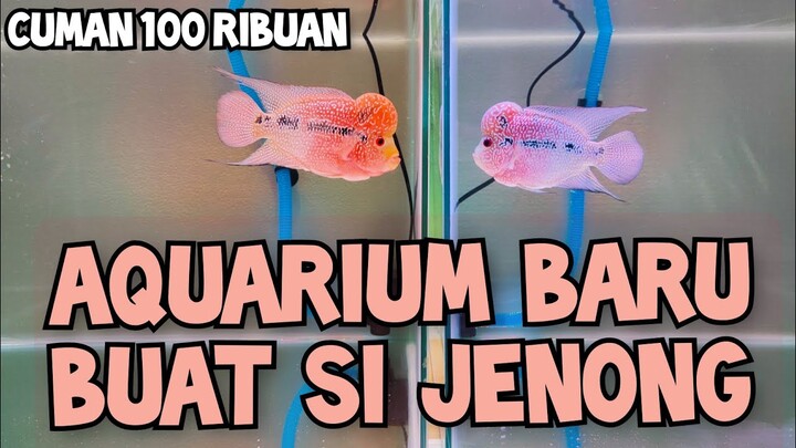 AQUARIUM MURAH SE BEKASI..