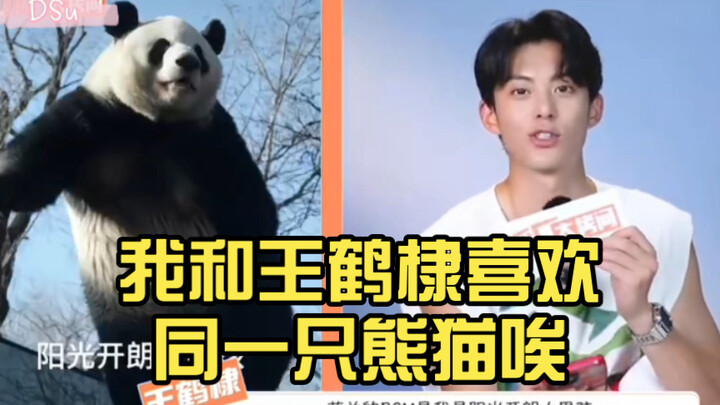 Me and Wang Hedi both love the same panda—so basically, it’s like…