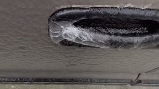 猝不及防！车把手：试试就逝世！