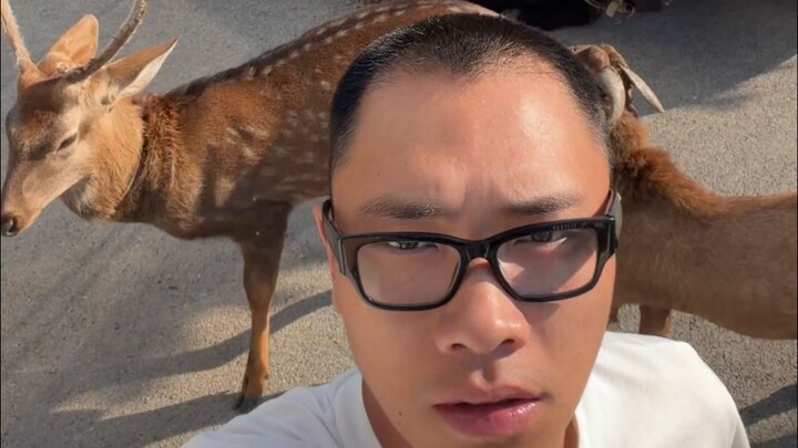 I feel super busy, but it almost feels like I haven’t actually gotten anything done.