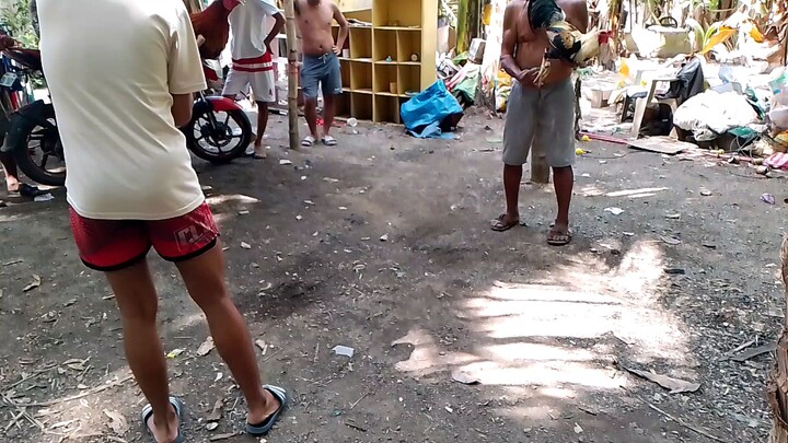 Kilikili agad first buckle 🐓🎯