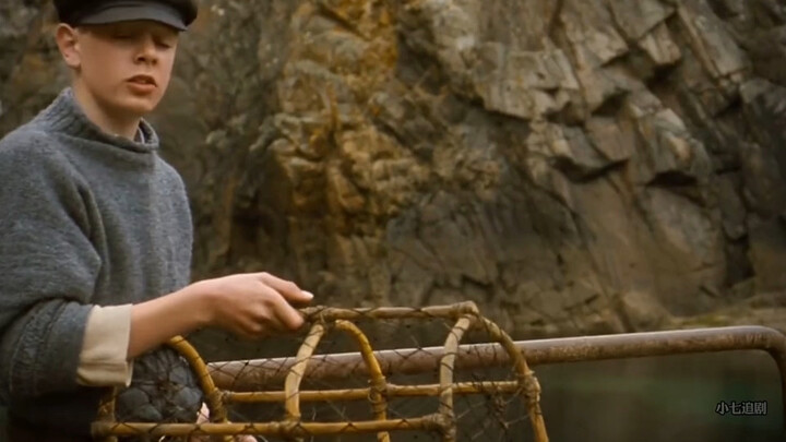 An Irish healing film: a baby lost for four years is raised by seals.
