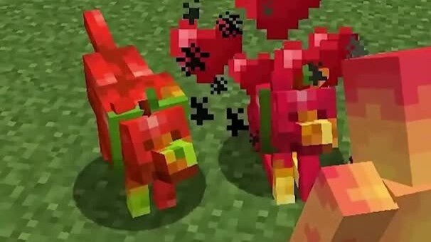 ฉันเพิ่มสุนัขแอปเปิลเข้าไปใน MC!