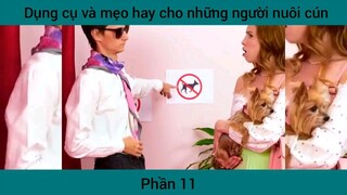 Dụng cụ và mẹo hay cho những người nuôi cún #11