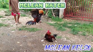 Mclean Hatch VS Mclean Kelso Spar