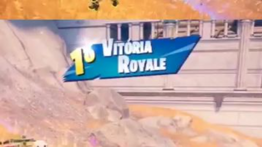 Nada como começar o dia com uma vitória do ❤️ ! que fofis! haha fortnite shorts