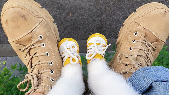 Đôi giày cỡ 39 lúc nào cũng dễ thương hơn đôi giày cỡ 3 nhỏ xíu [Phần 2]