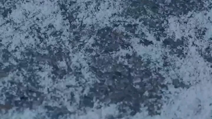 #เสิ่นเมี่ยว เสียงในใจคุณหนูสายดาร์ก.