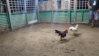 September 10, 2025 sparring exercise