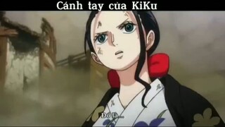 Cánh tay của Kiku #anime