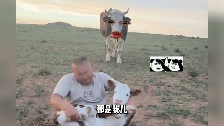 Niu: No, that’s my son.