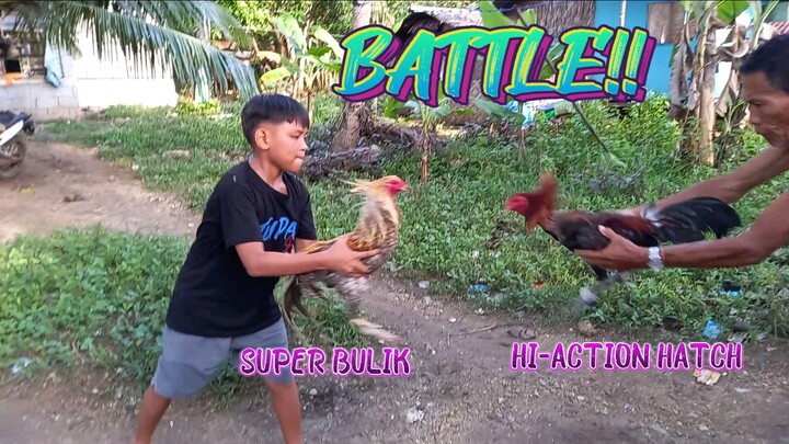Super Bulik VS Hi-Action Hatch. spar!          JRP GAMEYARD