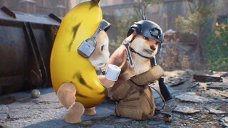 The current situation of hamster players picking up garbage
