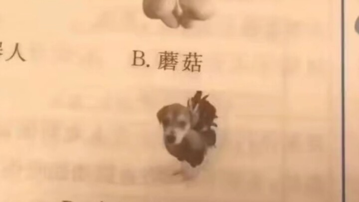 เริ่มเป็นห่วงสภาพจิตใจของผู้ออกข้อสอบแล้ว