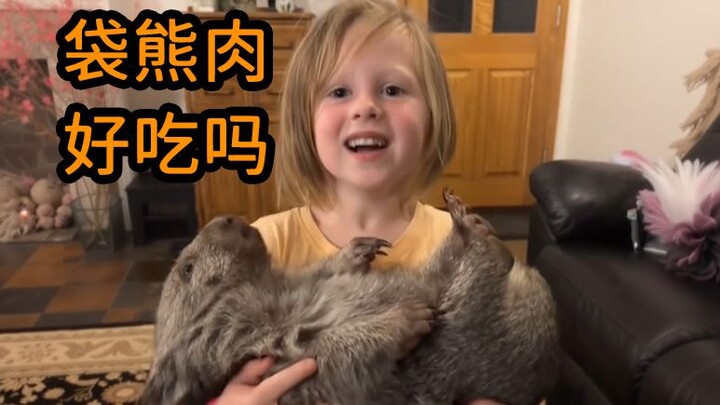 爸爸说要把小袋熊炖了吃🐻