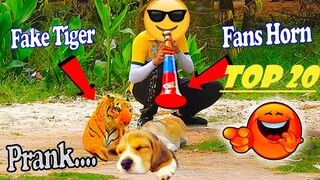 Best Top 20 Dogs Prank 2021 - Try Not To Laugh