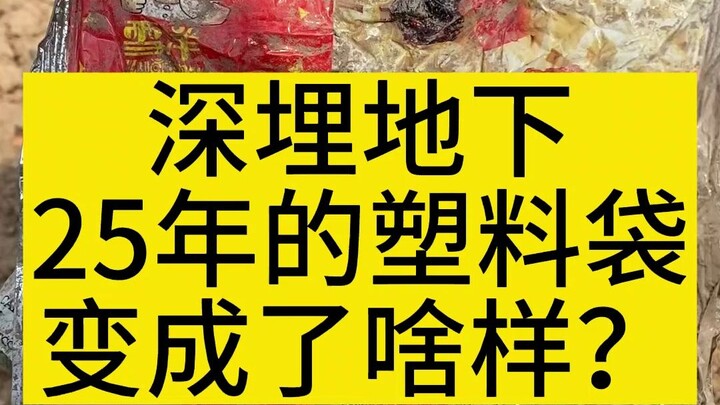 كيف تبدو كيسة بلاستيك مدفونة تحت الأرض لمدة 25 عامًا؟