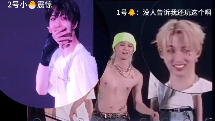 “Hai con gà nhỏ sửng sốt”