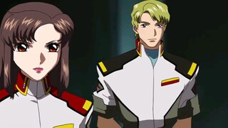 gundam seed 29