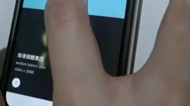 Cyber release, digital merit-making, nurturing Yunmeng Lake