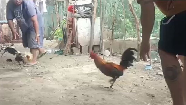 galaw galaw muna kayo.