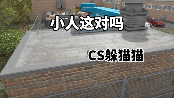 CS2 Hide and Seek: Is This Right?