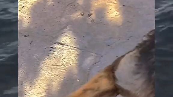 trust me it doesn't bite 😭