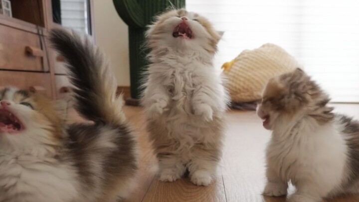 Finally figured out why kids can keep their moms wrapped around their little fingers!