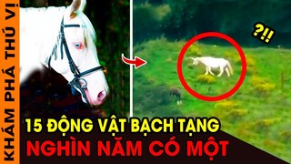 🔥15 Loài Động Vật Bạch Tạng Kỳ Lạ Và Hiếm Có Nhất Trên Thế Giới Tồn Tại Ngoài Đời Thực (P2) |KPTV