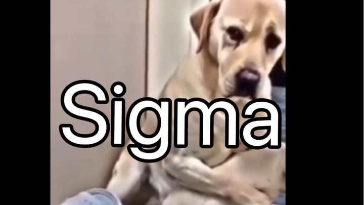 จนถึงตอนนี้ก็กลายเป็นศิลปะไปแล้ว