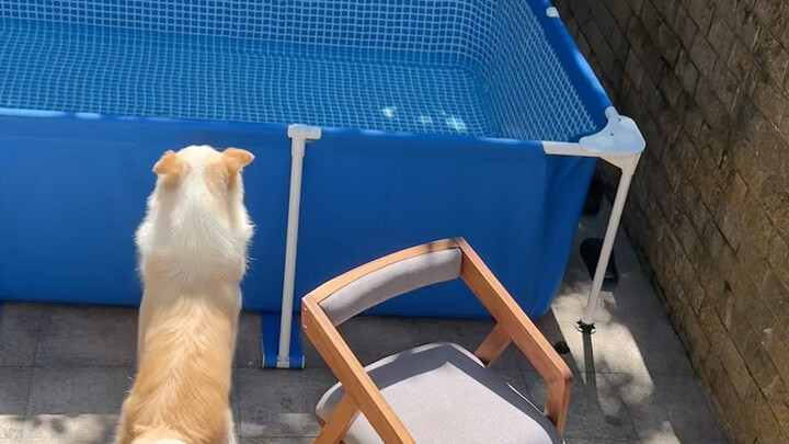 Finally couldn't resist doing it myself