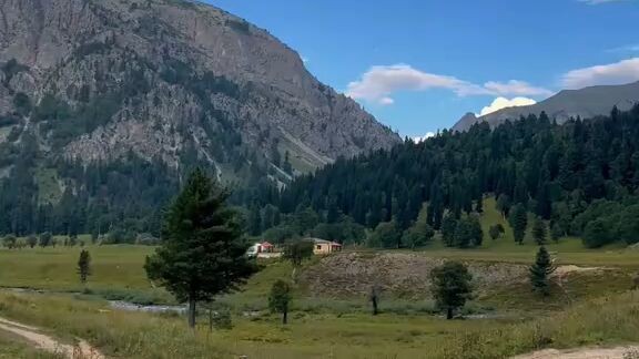 🌲🏔️ “Nature’s beauty in every view! 🌿✨”#Shorts #Nature #Mountains #YouTubeShorts