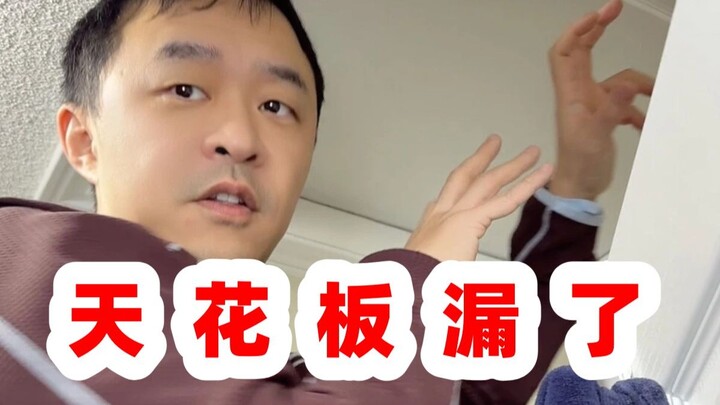 On the first day of Lunar New Year, I woke up to find the sky had fallen...