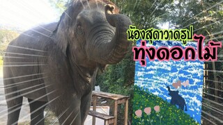 น้องสุดาวาดรูปทุ่งดอกไม้🌷🌷🌷