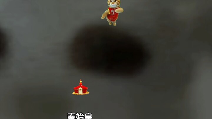 有好多历史猫猫，大家快来围观