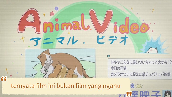 #KompetisiKreasiUnggahan5, Tirami kalo nonton beginian ga liat fisik 💀