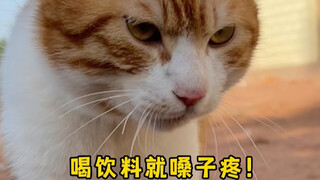 呀~你还不理我？你完啦！