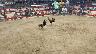 2hits ulutan