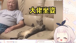 日本萝莉看《有些猫已经把自己当人了》当场绷不住