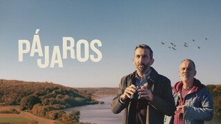 Birds Flying East 2024 الترجمة العربية