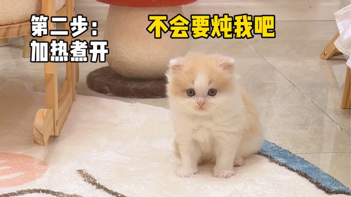 Agar anak kucing kecil lebih disukai, aku memasak sepanci catnip untuknya