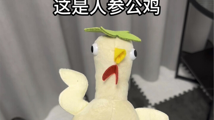 ไก่ตุ๋นโสมตัวหนึ่งดีขนาดนี้ ยังพูดได้ด้วย!