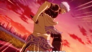 Trận chiến cắm dao của Pi Yan là hay nhất! [Gintama]