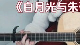 【Guitar】"White Moonlight and Vermillion Mole"