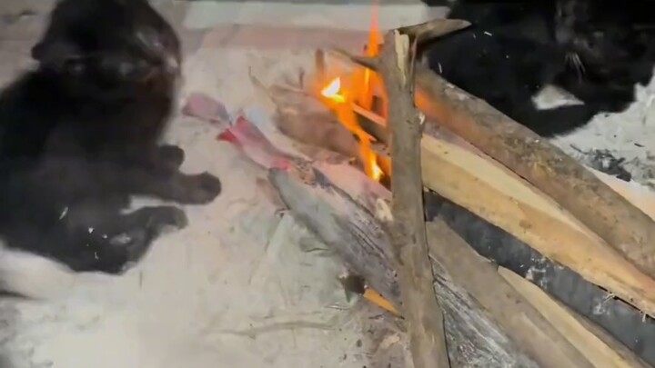 Sudah bangun belum? Kali ini