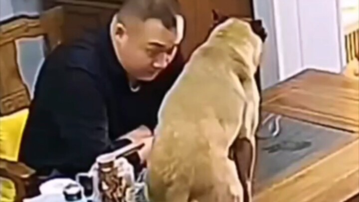 Kalau tiga hari nggak dipukul, bisa sampai atap dibongkar.