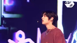[KickFlip/Choi Minje] Chú chó dễ thương màu anh đào nhuộm rượu | 250120 M2 "Knock Knock" phiên bản d